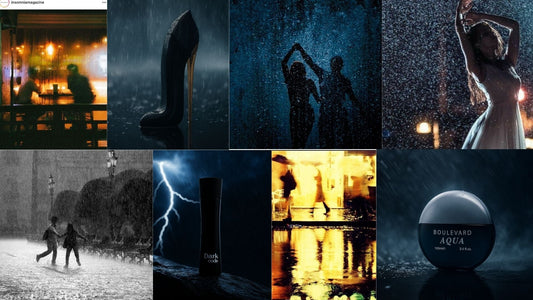 Which Scent Turns a Gloomy Rain Day Into Main Character Energy? Urban Collection Scent Vibe