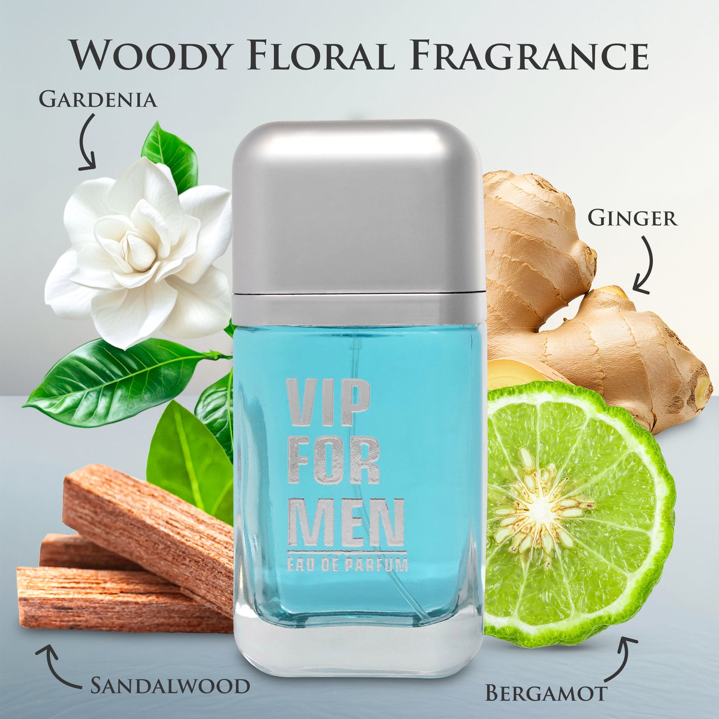 VIP for Men – Designer-Inspired Woody Floral Perfume | 3.4 oz/100ml Eau de Parfum | Urban Collection